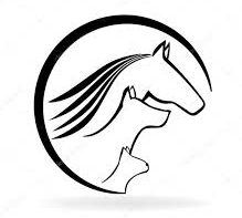 MOBILE TIERHEILPRAXIS & TIERPHYSIOTHERAPIE